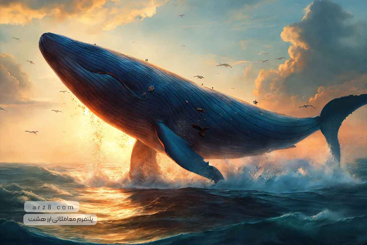 نهنگ ارز دیجیتال